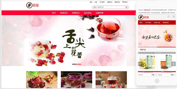 企业网站建设案例展示