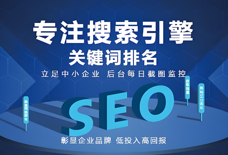 网站SEO优化数据展示